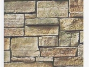 image11-jpg