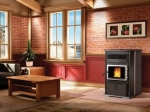 enerzone-euromax-wood-pellet-stove-jpg