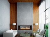 gas-fireplaces-ws54-seethru